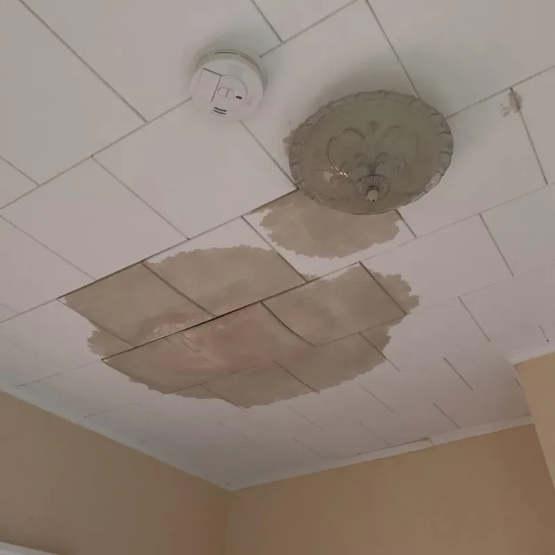 Ceiling Water Damage Repair in Kewaunee County, WI