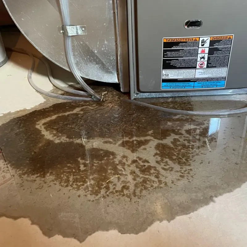 Pipe Burst and Leak Restoration in Kewaunee County, WI